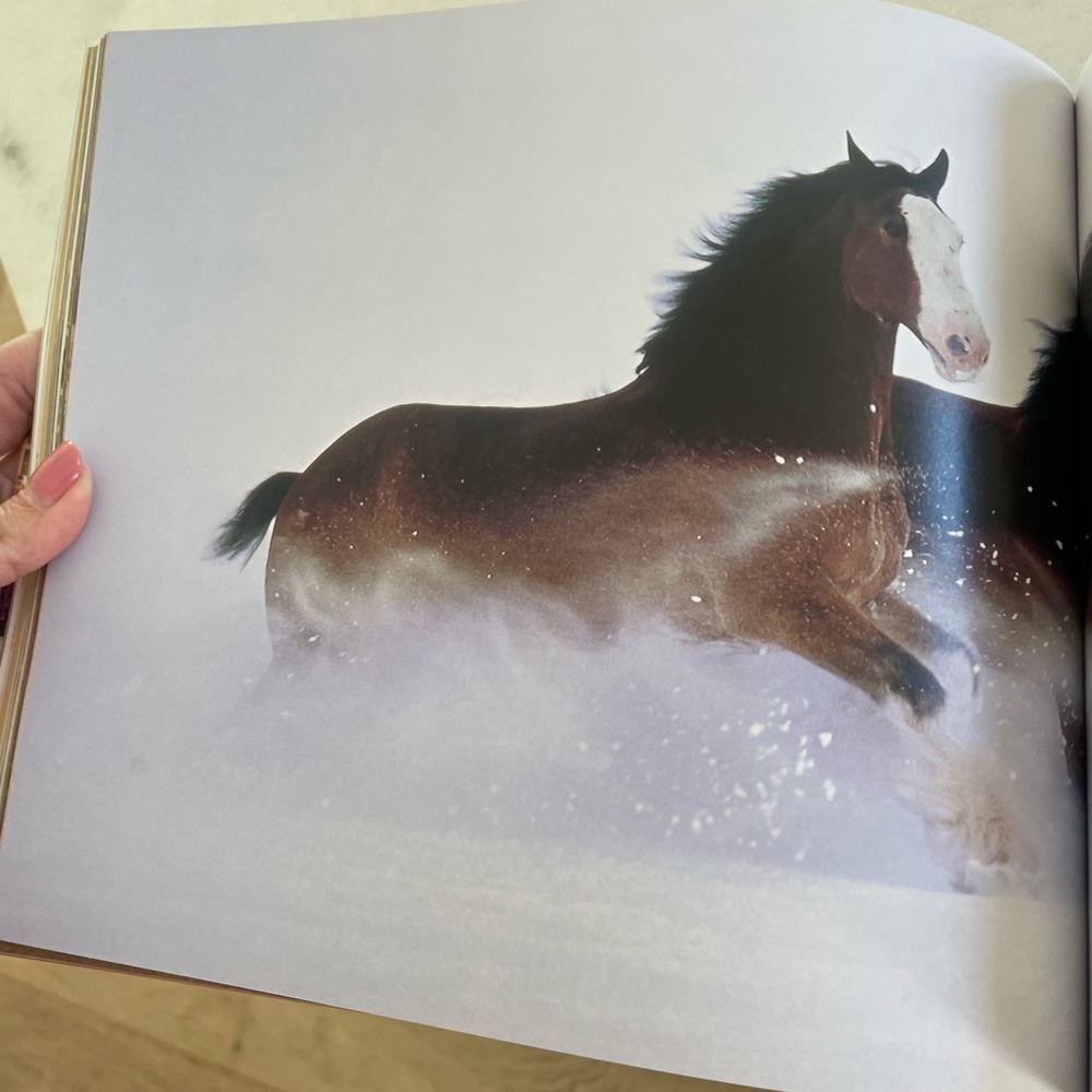 Budweiser Coffee Table Book - The Great American Tradition - Picture 8 of 15
